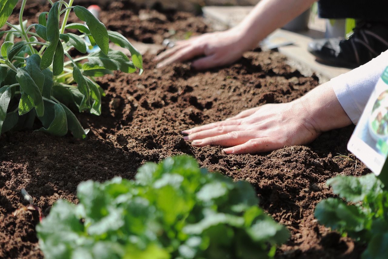 What is Soil Fertilizer